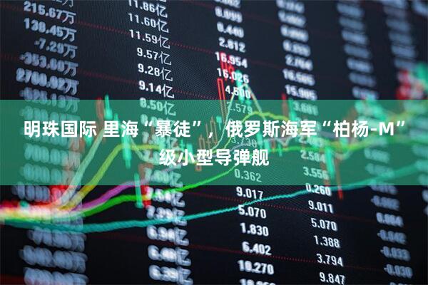 明珠国际 里海“暴徒”，俄罗斯海军“柏杨-M”级小型导弹舰